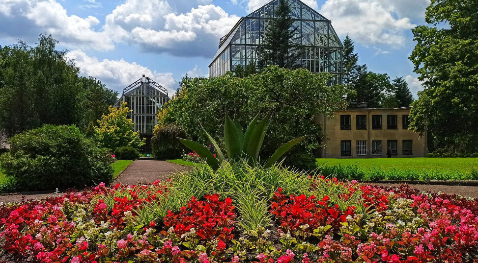 Botanical Garden of Poltava National Pedagogical University, Ukraine